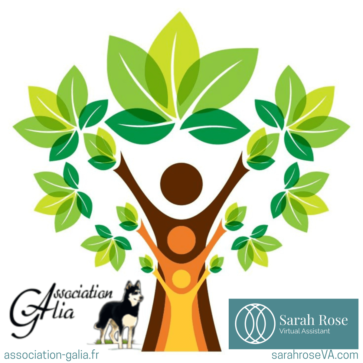 🐾 Donner en retour, une tâche à la fois 🐾