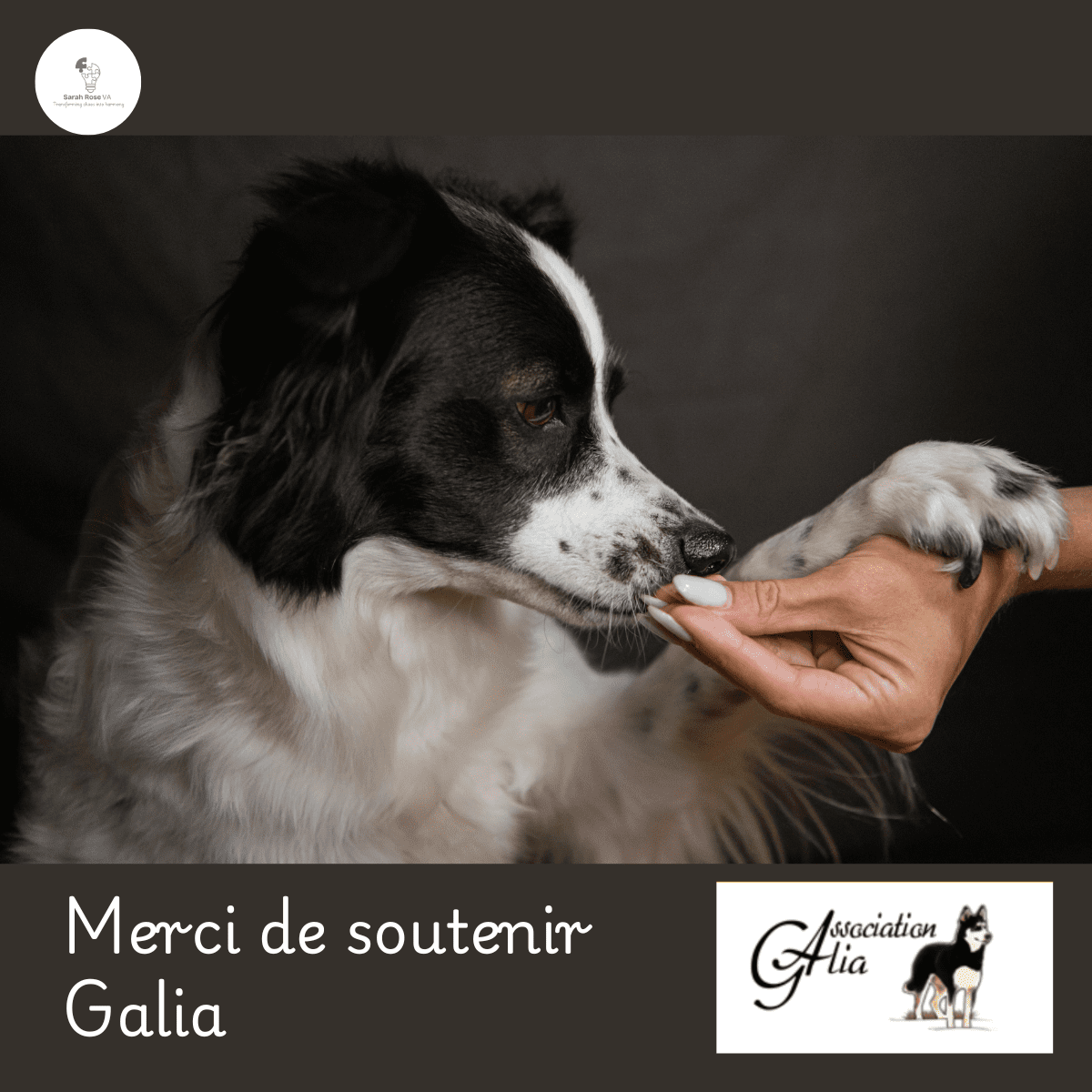 Sarah Rose Bilingual VA Sarah Rose AV Bilingue